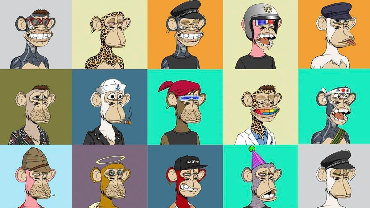 Different bored ape avatars from BAYC collection