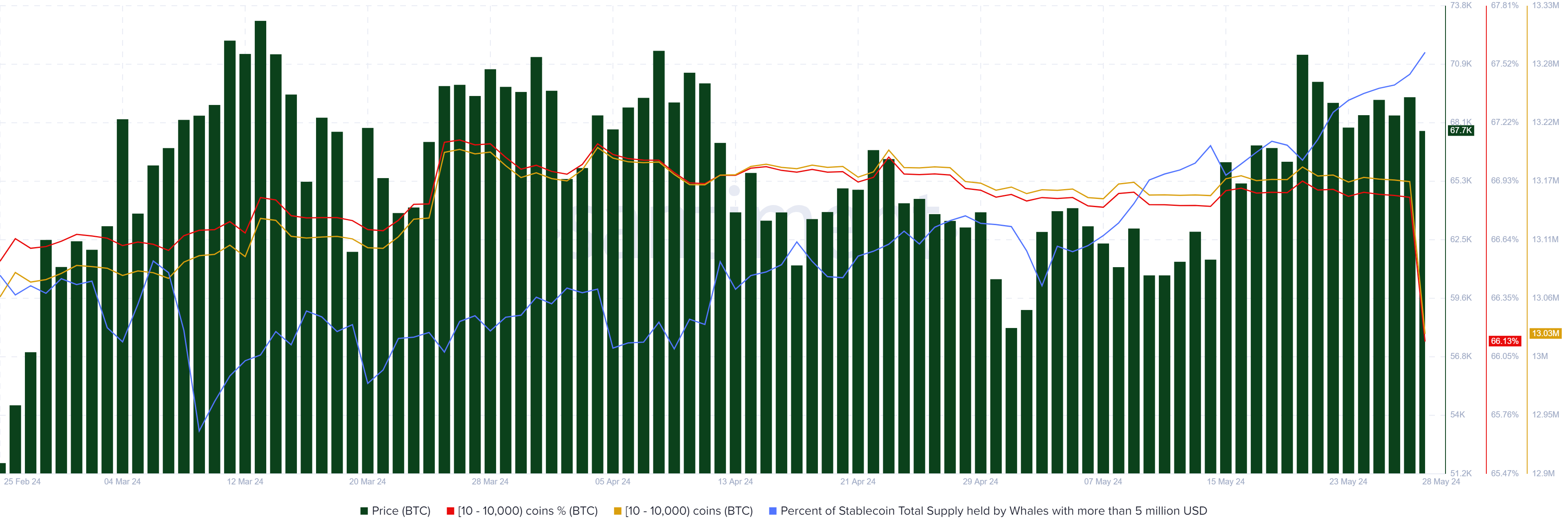Bitcoin and top Stablecoin chart