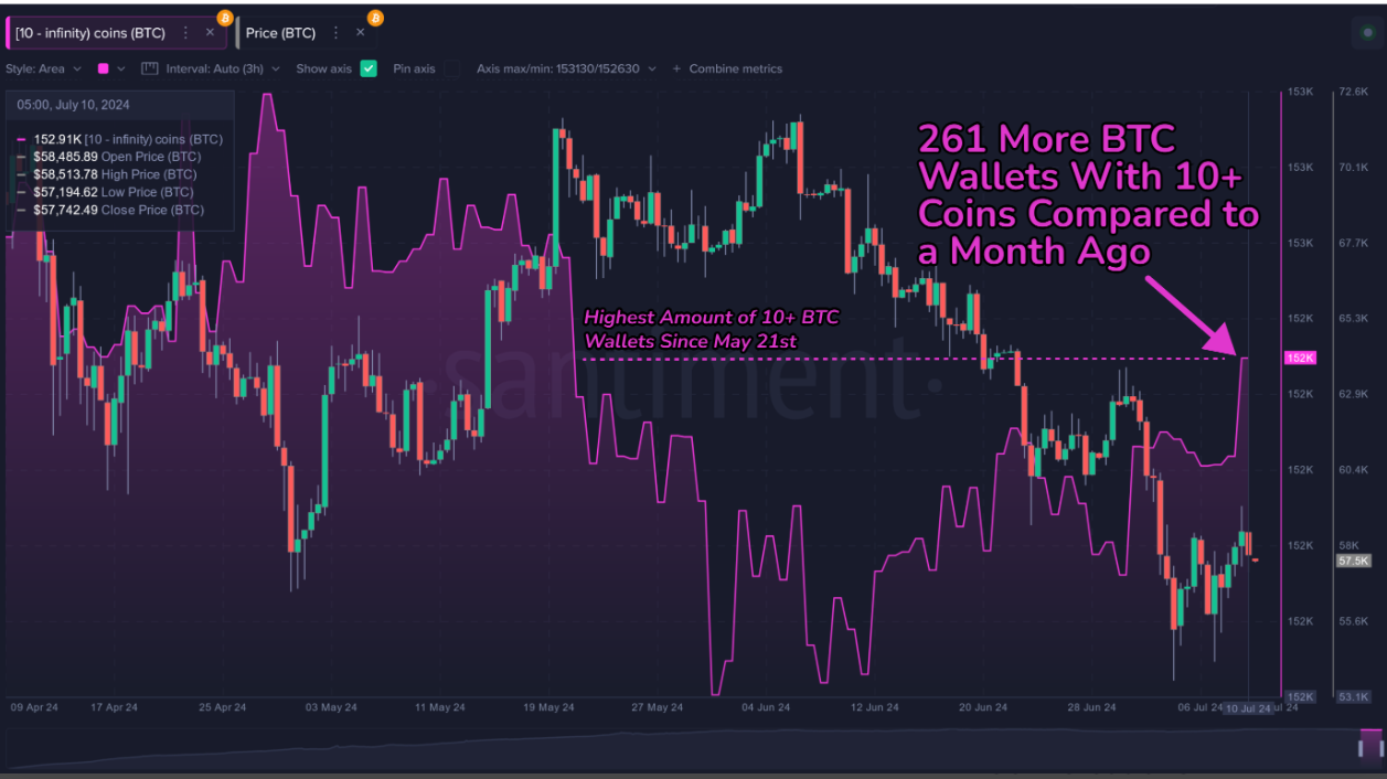 Bitcoin 10+ BTC holdings chart