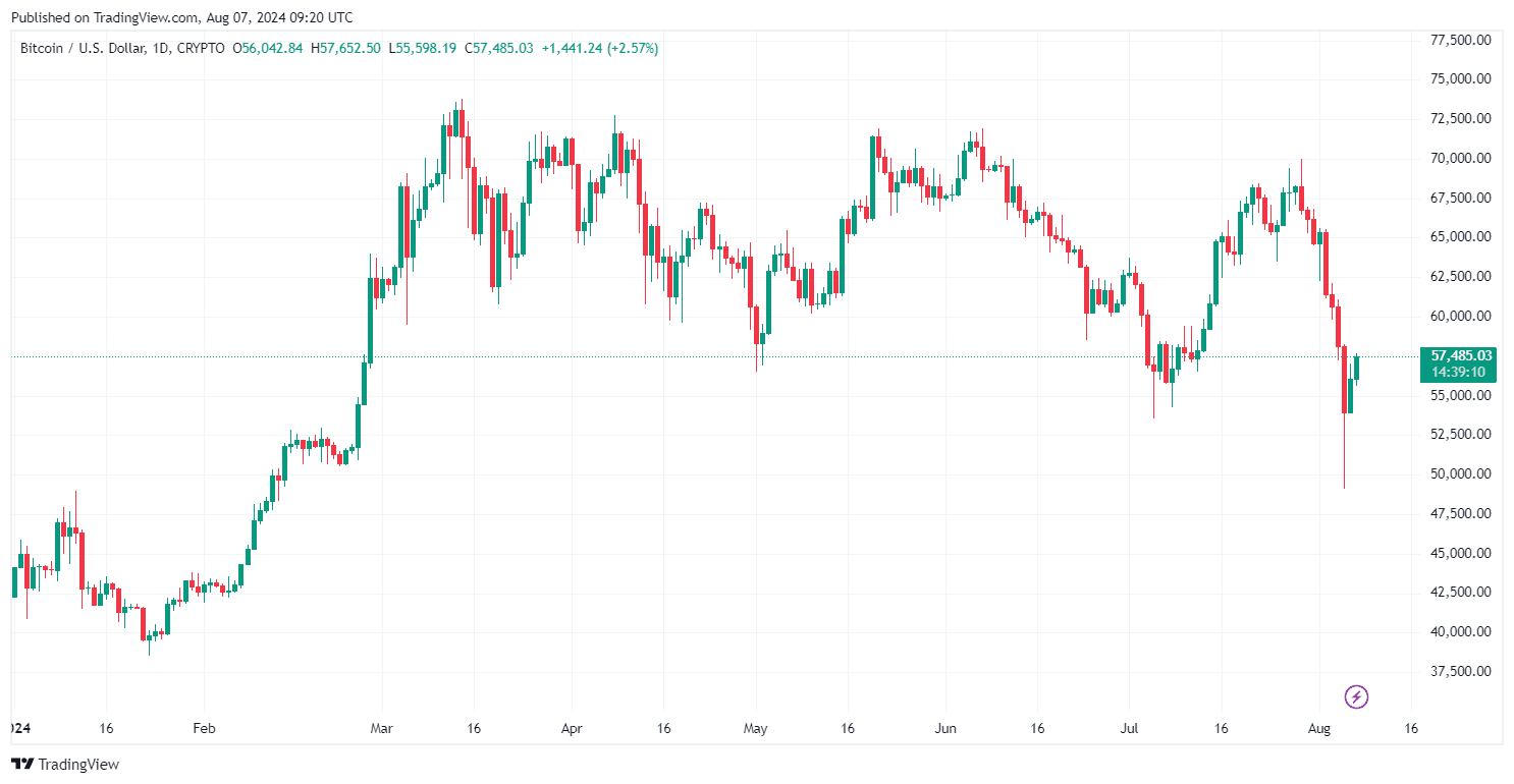 By TradingView - BTCUSD_2024-08-07 (YTD)