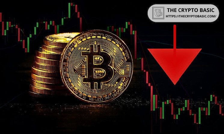 Bitcoin Long Liquidations Hit Highest Level Since November in Recent Market Dump