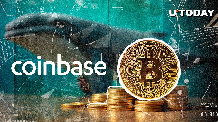 $738,863,880 BTC Exit Coinbase to New Whale Wallet, What’s Happening?