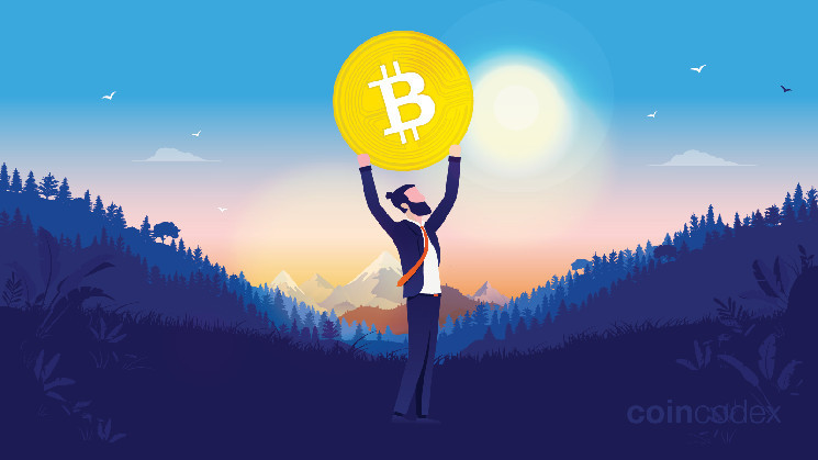 Biggest BTC Holders in 2025