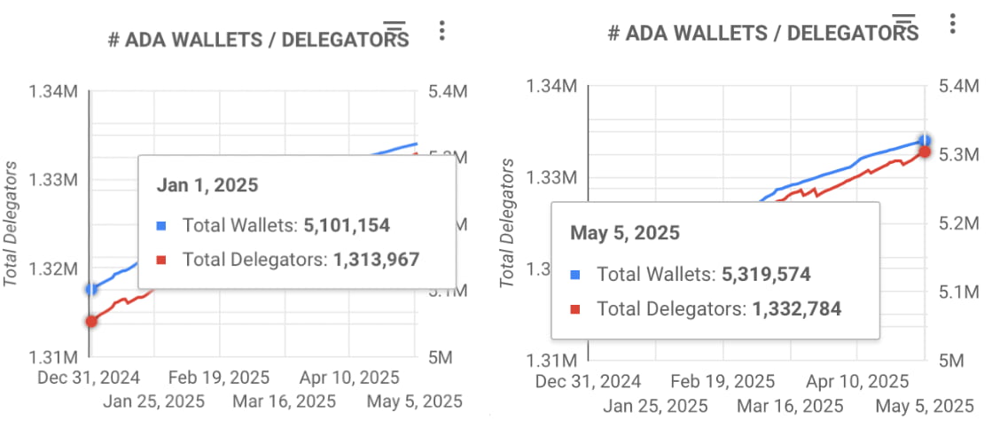 ADA wallets and delegators 2025 increase. 