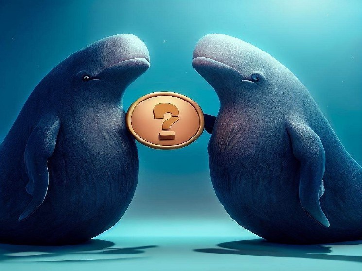 Giant Whales Swing into Action Following Fed’s Interest Rate Decision! Hidden Whale Bought $112 Million Worth of Ethereum in a Single Transaction! Here Are…