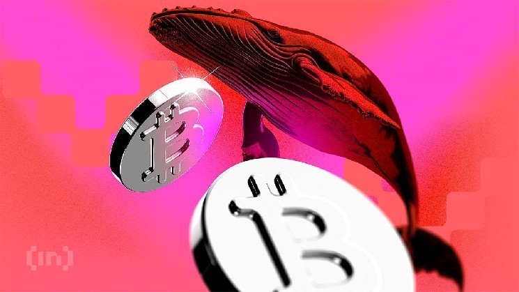 The Crypto Market Is Exploding — and One Man Is Betting on Its Collapse