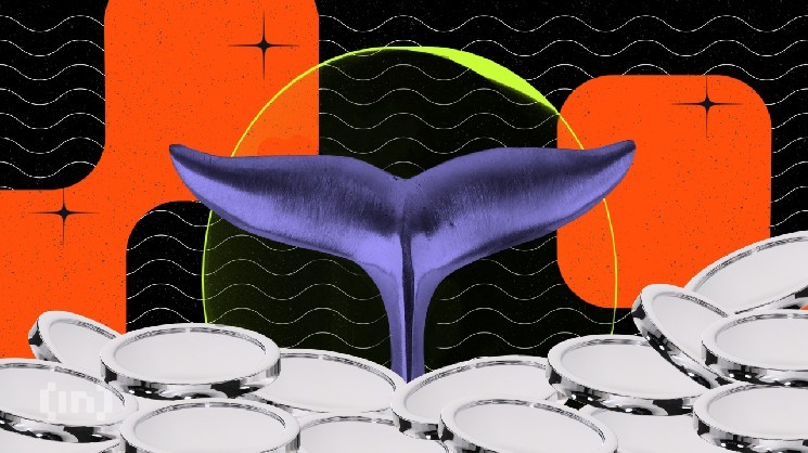 Ethereum Whales Are Moving Quietly — Why the Market Should Pay Attention