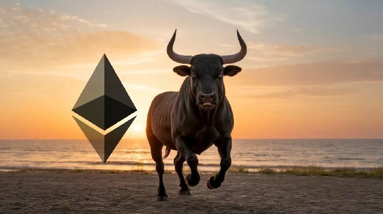 Ethereum Could See a Major Rally Soon! Analyst Explains Why!