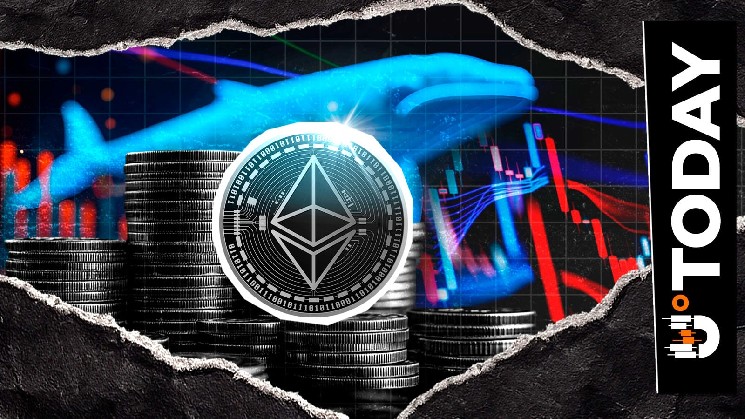 Is Ethereum to $5,000 Imminent? Enormous Whale Buying Spree Originates