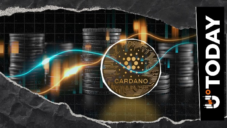 Binance Records Sudden 50,000,000 ADA Transfer, Cardano Price Reaction Unveiled