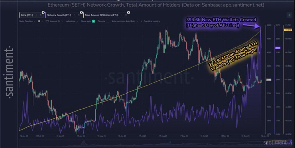 Ethereum Network Growth and Total Amount of Holders