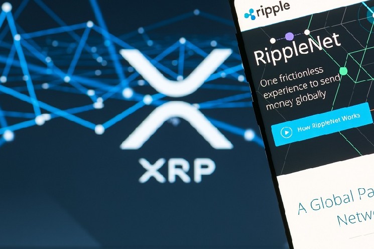 Rumours of Ripple IPO talks resurface despite Monica Long’s denial