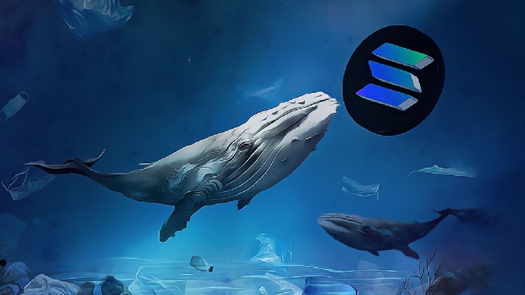 Solana’s Growing Bot Activity Sparks Strategic Moves in 2026