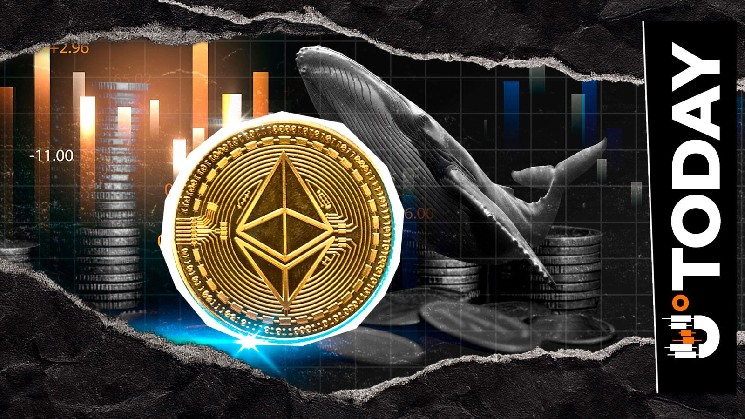 Biggest Market Whales Are Pivoting