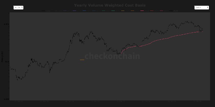 Bitcoin finds stability at 2023 investor cost basis, echoing past cycle