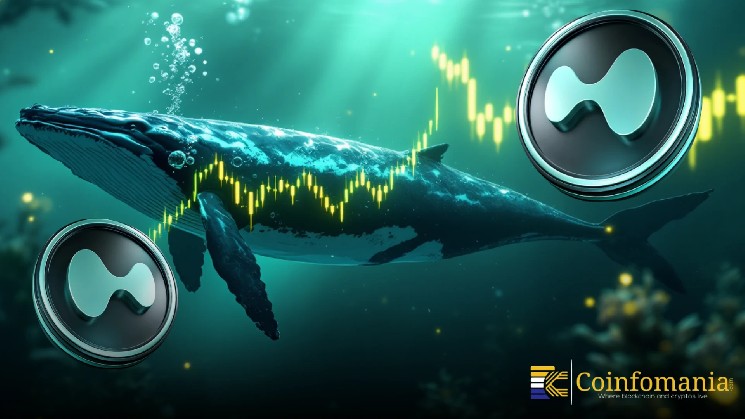 HYPE Whale Buying Spree Grows After Massive a16z Linked Purchase