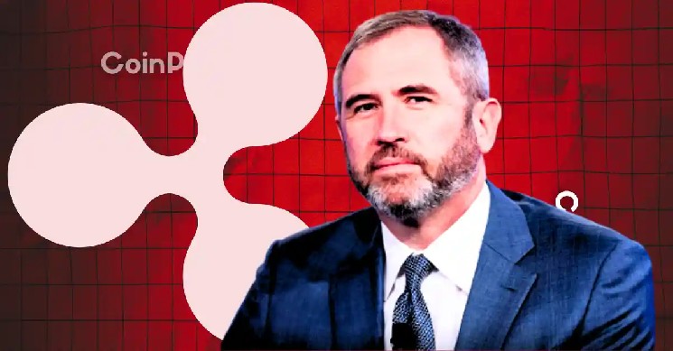 Ripple’s Brad Garlinghouse Reveals His Role in the XRP Community