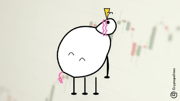 Pippin whale wallets dumping cause 50% crash as Zero warning signs flagged
