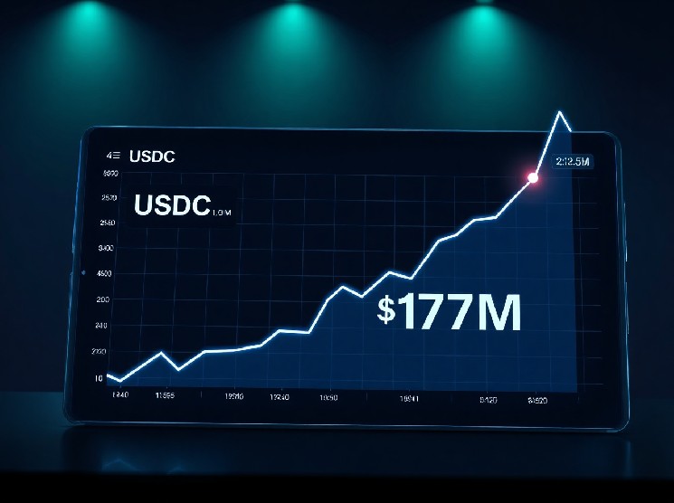 Hyperliquid USDC Daily Net Inflow Hits 10-Month High, Surpassing $173 Million