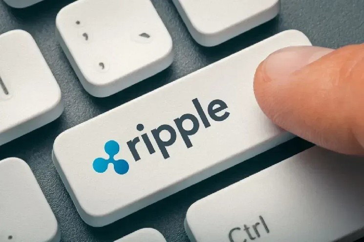 The UN Sees Ripple & Stellar as Rails of the New Financial System, Thanks to Instant Settlement and Tokenized Compliance