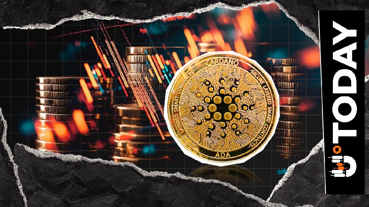 Cardano’s Ecosystem Under Threat