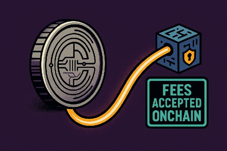 Bermuda digital dollar blockchain plan moves from USDC trial to gov fees