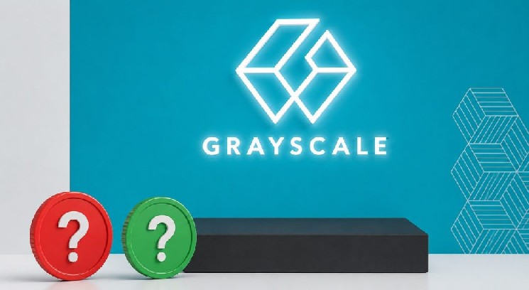 Grayscale Allegedly Secretly Accumulated Shares of the Most Popular Altcoin of Recent Days! “ETF Application Also Included!”