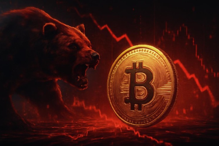 is a rebound imminent or will prices fall again? Market signals
