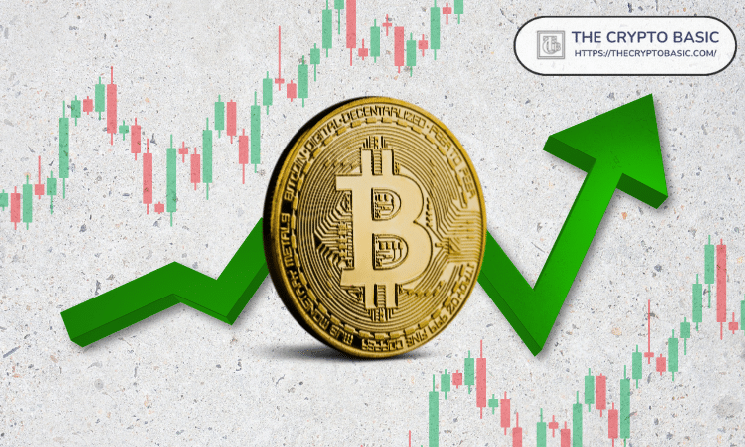 Top Analyst Warns of 33% Correction Risk Before Bitcoin Finds Bottoming Structure