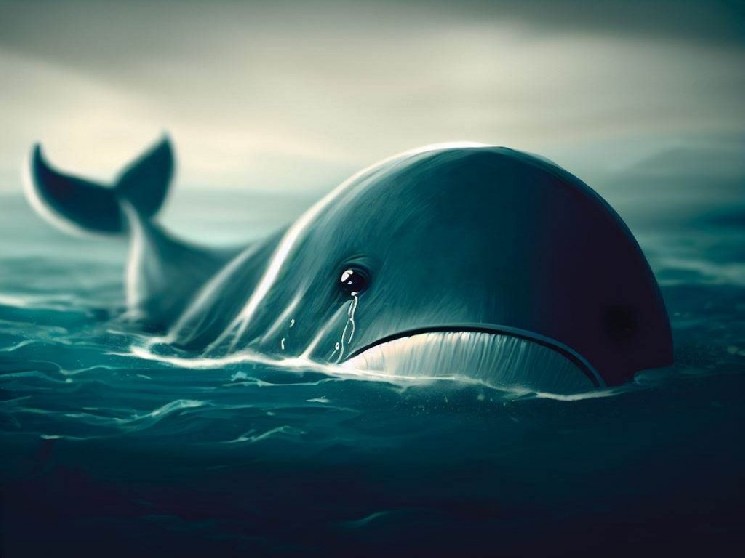 A Crypto Whale’s Single-Click Mistake Cost Him $400,000
