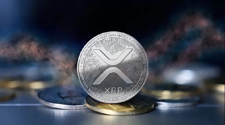 Here Are the Big Names Who Own XRP