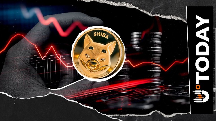 Shiba Inu Marks Major 2026 Supply Squeeze as 374 Billion SHIB Exit Exchanges