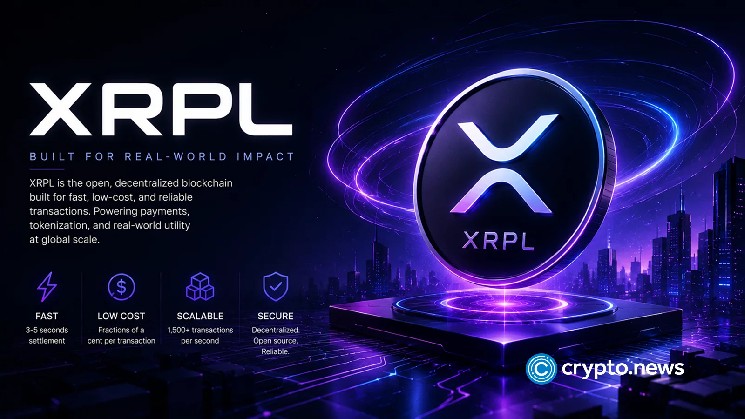 XRP Ledger was years ahead of Solana DEX race, ex-Ripple dev says