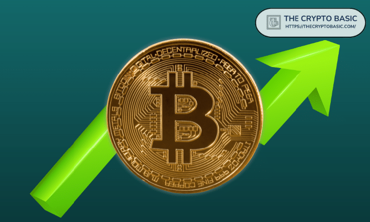 Bitcoin Network Growth Rebounding Fast, Hinting at End of Local Bottom: Glassnode