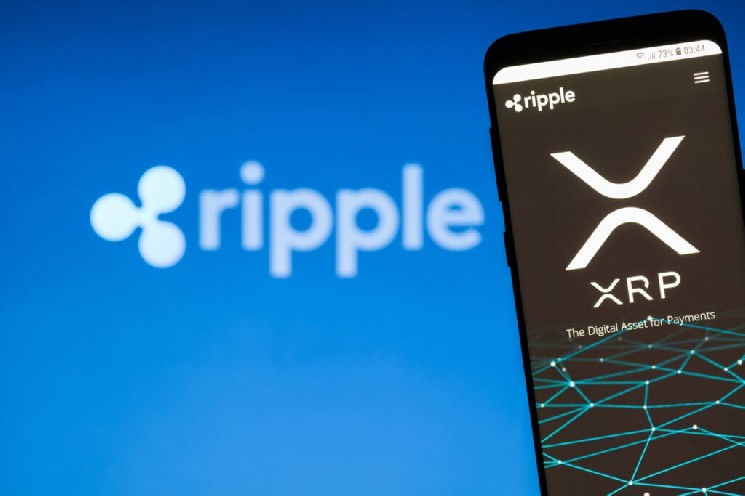 Why Trust PayPal? ‘XRP Is In A Prime Position To Be A Winner’, Evernorth CEO Says
