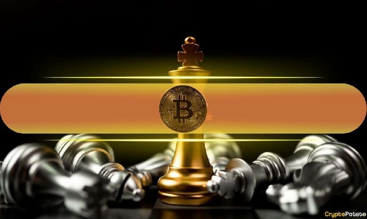 How Bitcoin Outperformed ETH, XRP, BNB, and SOL During 2025-2026 Market Stress