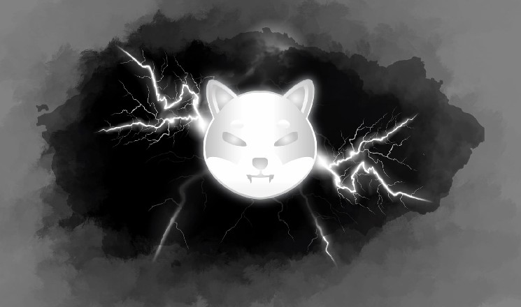 Are SHIB Whales Afraid of a ‘Ryoshi Dump’? Billions of Shiba Inu Coins Sent to Binance, Again