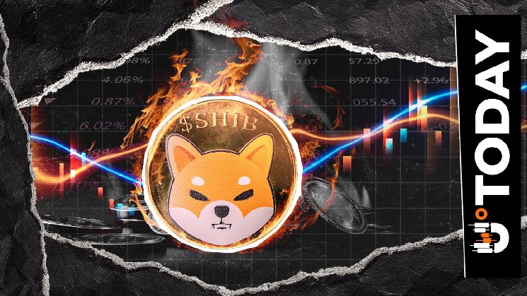 What’s Behind Shiba Inu Burn Rate Drop of 74%