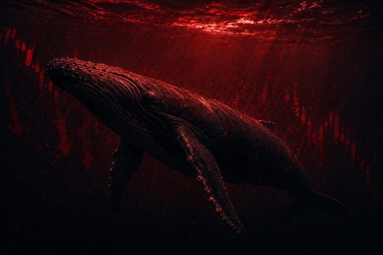 Whales Have Exited an Altcoin, Causing Retail Investors’ Investments to Plunge