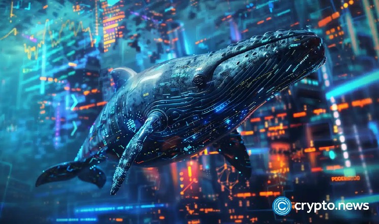 Whale Accumulates 72K HYPE Worth $30.6M
