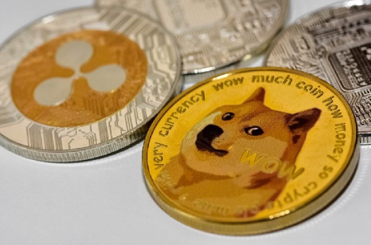 Dogecoin Notes Shibes Have Been ‘Quiet Lately’ And Then The Internet Showed Off What Everyone Has Been Silently Building