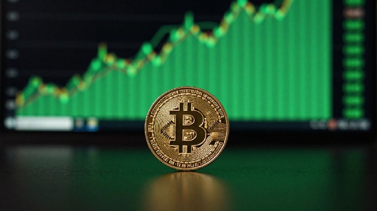 Bitcoin Price Stabilizes Above $77,000 as Daily Chart Shows Crucial Test