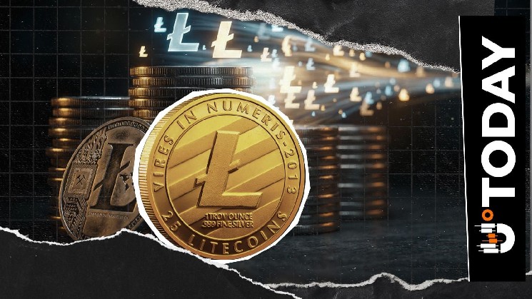The Truth Behind the 85,000 ‘Fake’ LTC and the Secret Hacker Deal