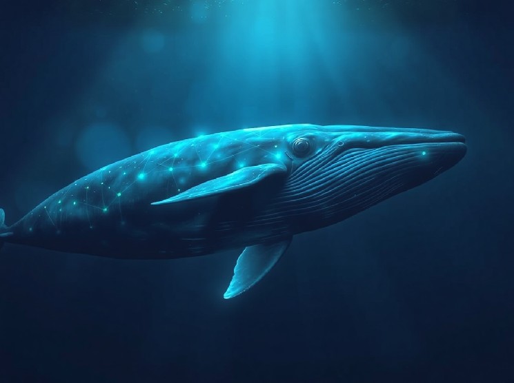 Dormant Whale Awakens After 3 Years, Borrows $30M on Aave to Buy More Ethereum