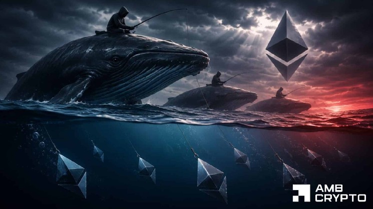 Ethereum whales bet on downside, but 73% traders are long – Who wins?