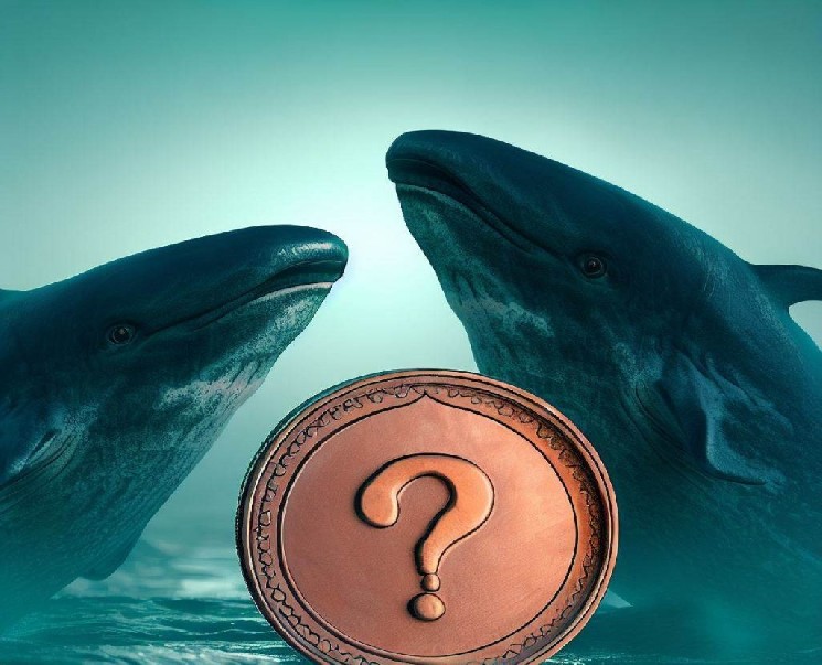 A Whale Waited Patiently, Found the Peak! Turned $575 into $1.7 Million! Here’s the Altcoin It Bought!