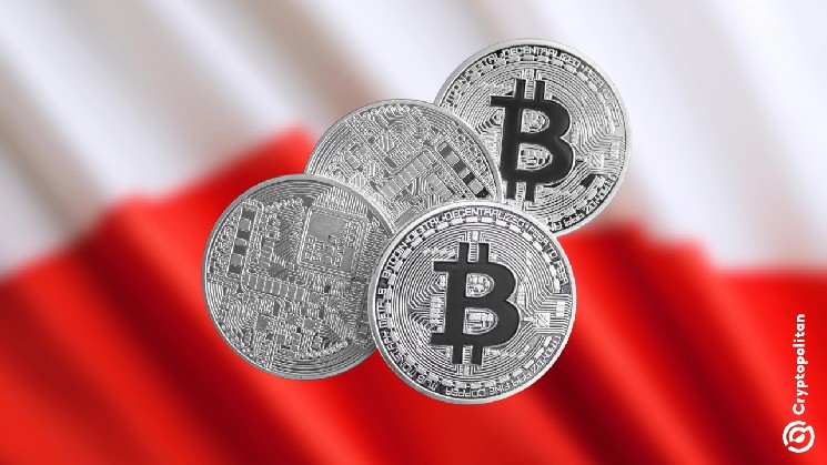 BTC tops popularity list among Poland’s 2.5 million crypto holders
