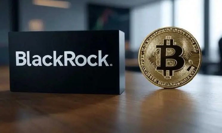 BlackRock Crypto Head Explains What Prevented Bitcoin’s Rise! Shares What Percentage of BTC Should Be Held!