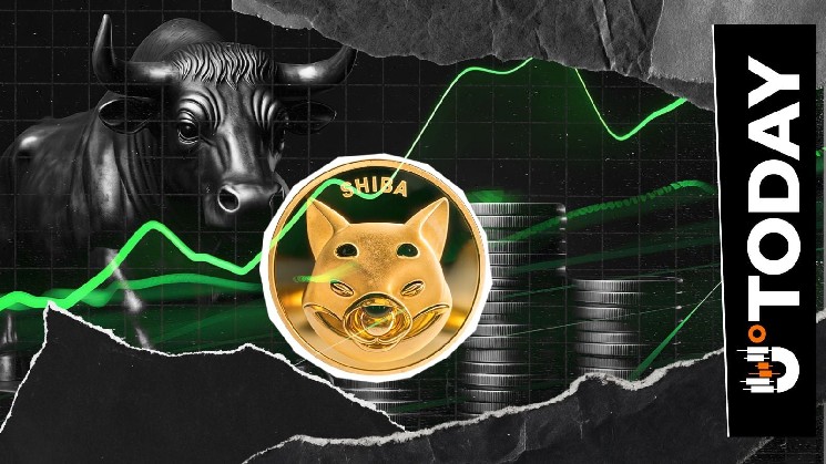 Shiba Inu’s Sudden 37% Spike in Exchange Activity Puts Bulls in Charge