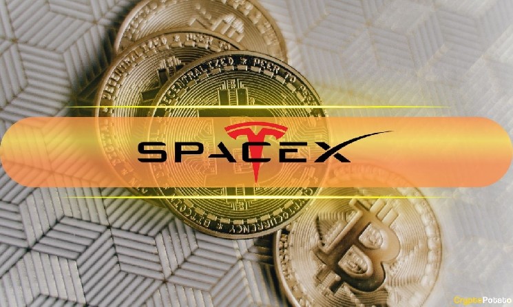 SpaceX Dominates as Tokenized Pre-IPO Trading Volume Surges 1,060%: CoinGecko
